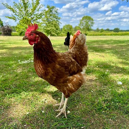 Charming Hen Cottage Countryside Retreat Lincoln Newball Extérieur photo