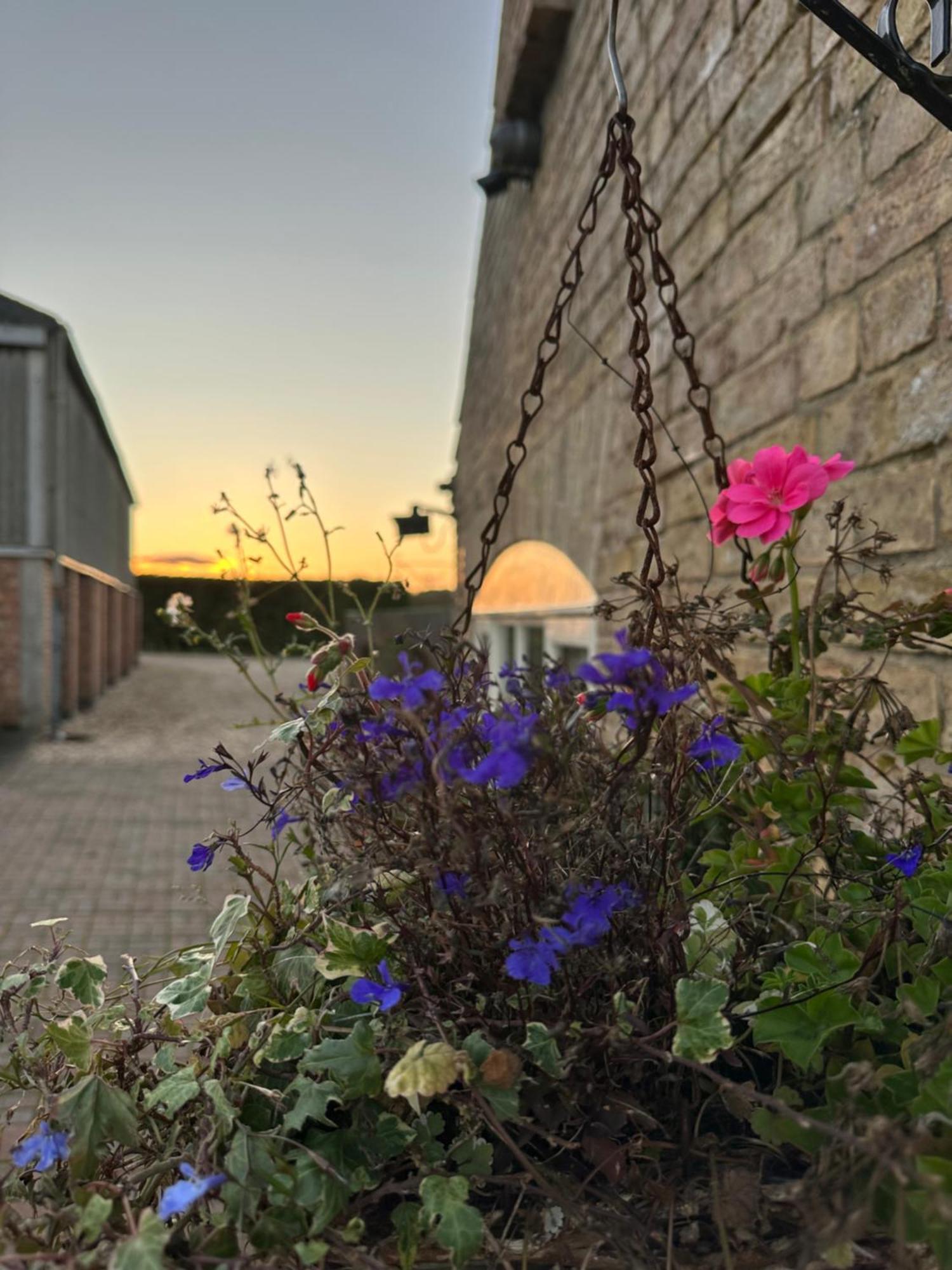Charming Hen Cottage Countryside Retreat Lincoln Newball Extérieur photo